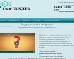 Скриншот страницы сайта traf-zona.ru