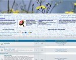 Скриншот страницы сайта forum.cvetnichki.com.ua