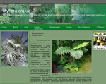 Скриншот страницы сайта myflora.org.ua
