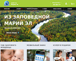 Скриншот страницы сайта voda-sestrica.ru
