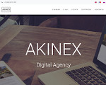 Скриншот страницы сайта akinex.ru