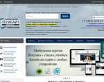 Скриншот страницы сайта terabytemarket.ru