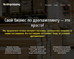Скриншот страницы сайта ru-dropshipping.ru