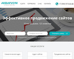 Скриншот страницы сайта akvaseo.ru