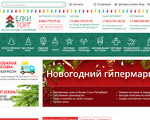 Скриншот страницы сайта spb.elkitorg.ru