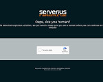 Скриншот страницы сайта serverius.net