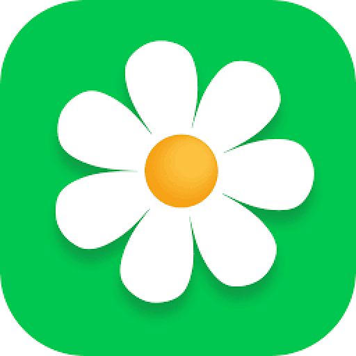 Affordable Flower Delivery in Moscow: Free Delivery of Flowers and Bouquets, Custom Flowers