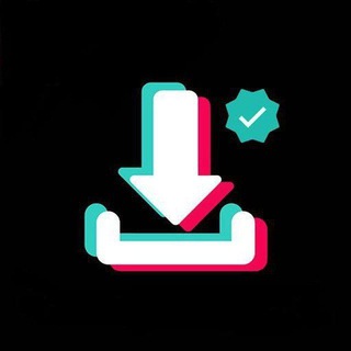 TikTok Downloader
